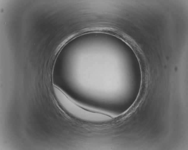 X0000085831177200703161022