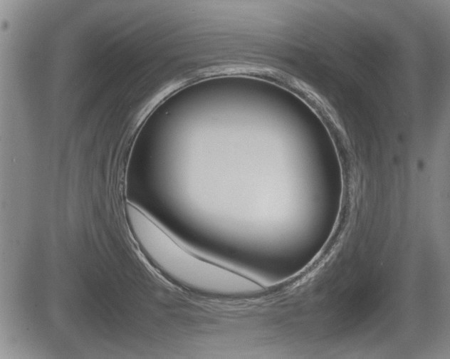 X0000085831185200703161022