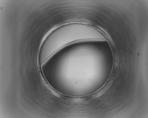 X0000085831188200703161022