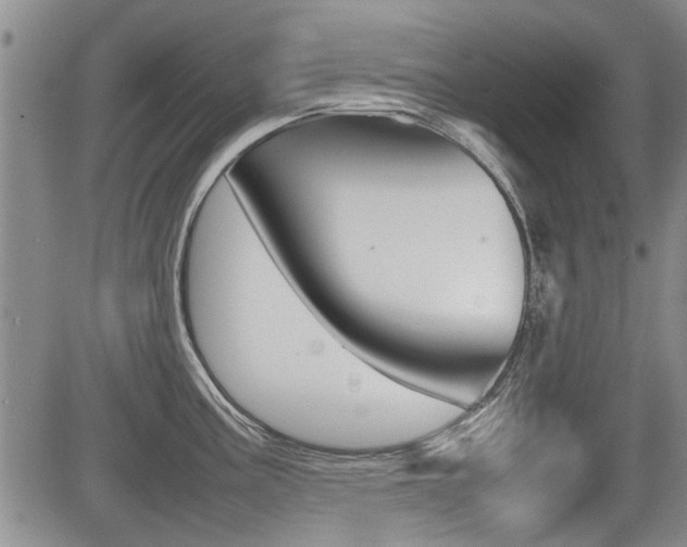 X0000085831195200703161022