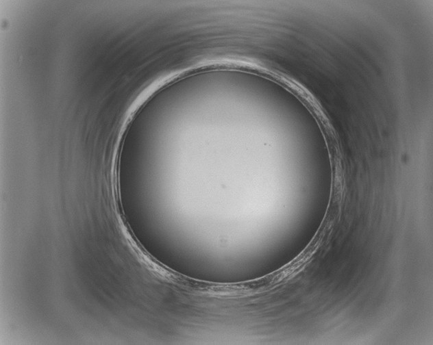 X0000085831199200703161021