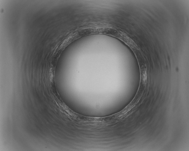 X0000085831204200703161021