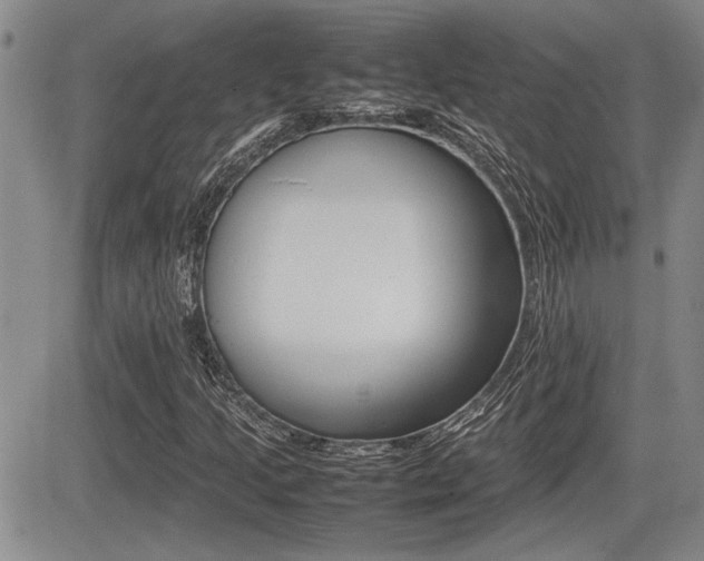 X0000085831205200703161021