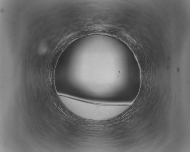 X0000085831206200703161021