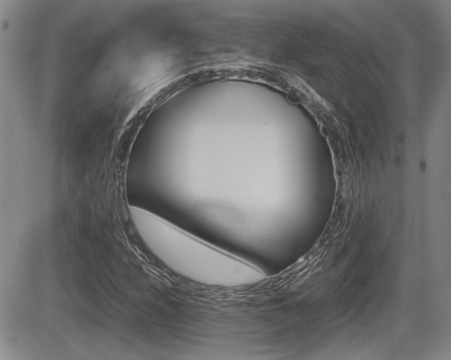 X0000085831208200703161021
