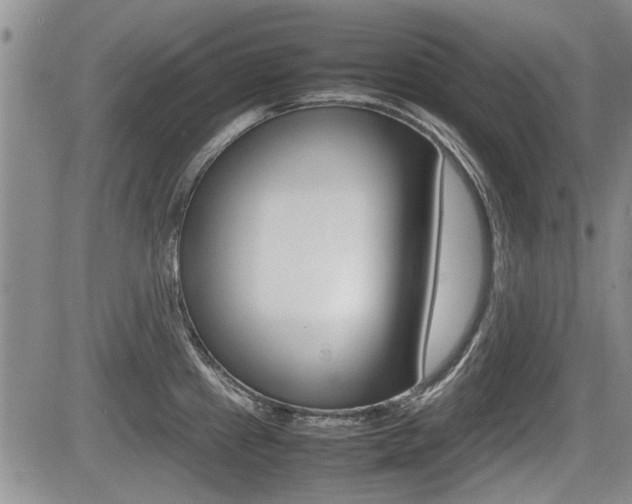 X0000085831241200703161021