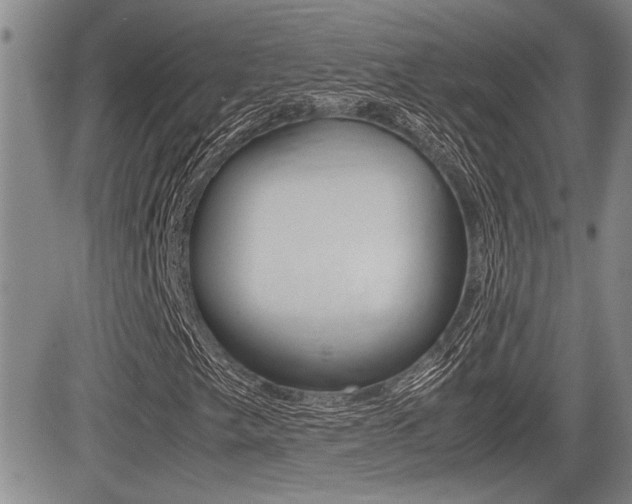 X0000085831249200703161021
