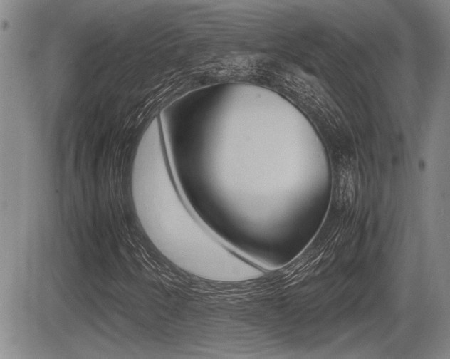 X0000085831250200703161021
