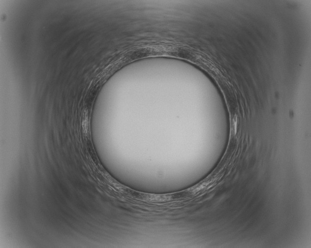 X0000085831251200703161021