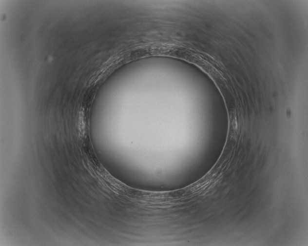 X0000085831252200703161021