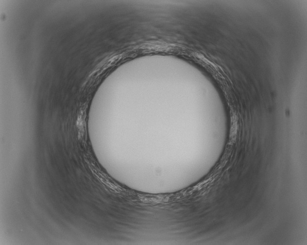X0000085831254200703161020