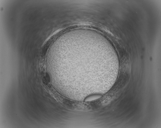 X0000085831255200703161020