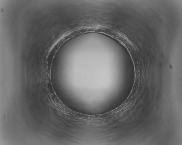 X0000085831256200703161020