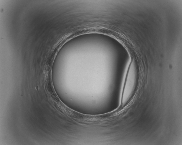 X0000085831257200703161020