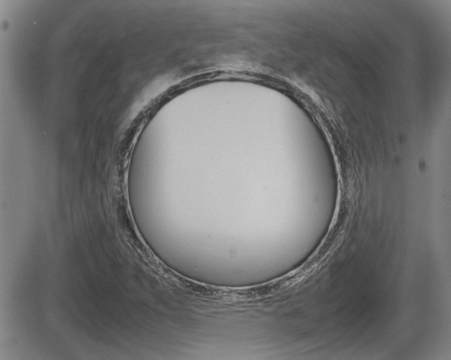 X0000085831263200703161020