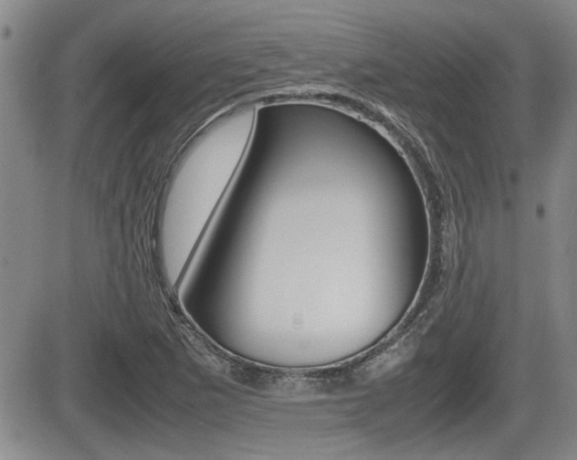 X0000085831265200703161020
