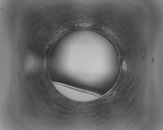 X0000085831299200703161019