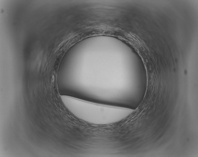 X0000085831302200703161019