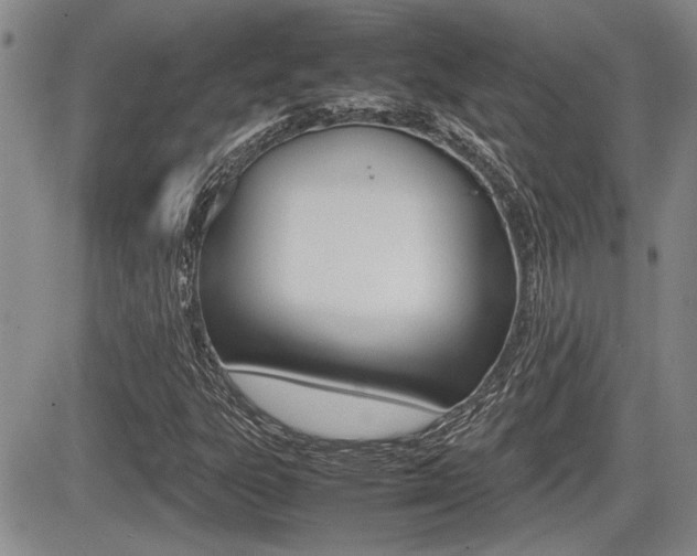 X0000085831303200703161019