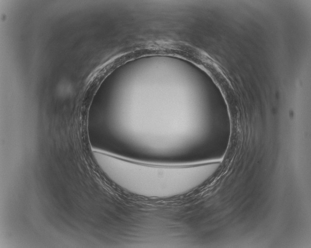 X0000085831304200703161019
