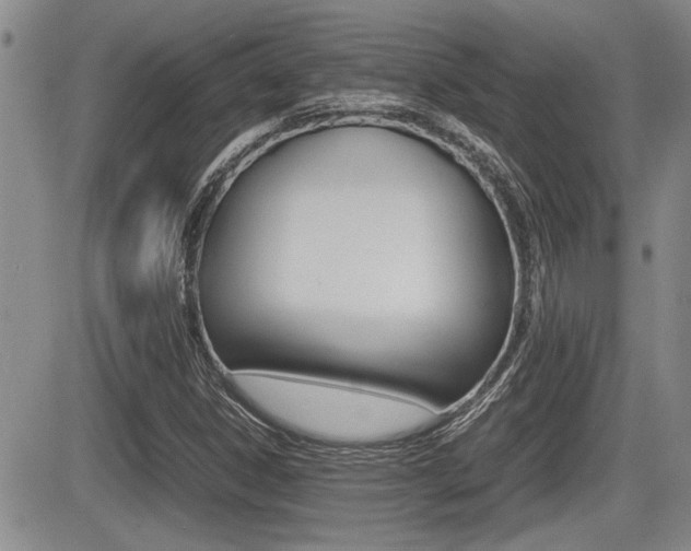 X0000085831306200703161019