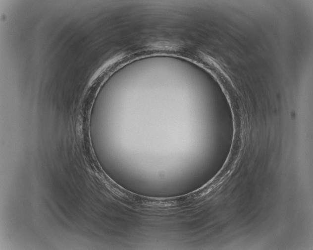 X0000085831307200703161019