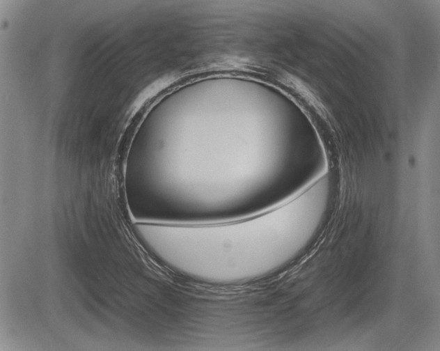 X0000085831308200703161019