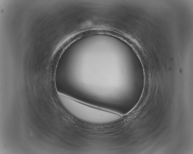 X0000085831311200703161019