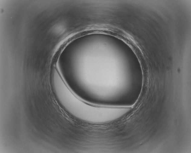 X0000085831312200703161019
