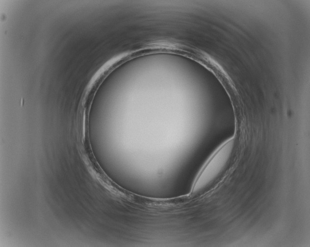 X0000085831323200703161019