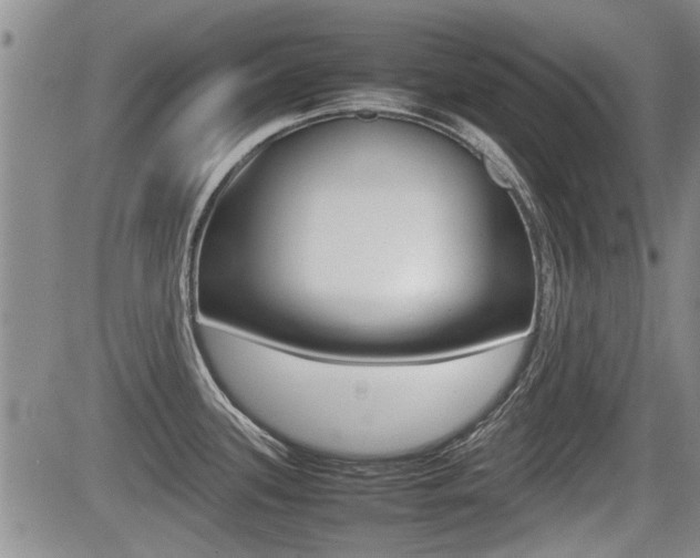 X0000085831339200703161020