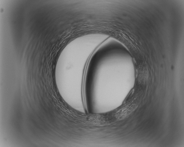 X0000085831345200703161019