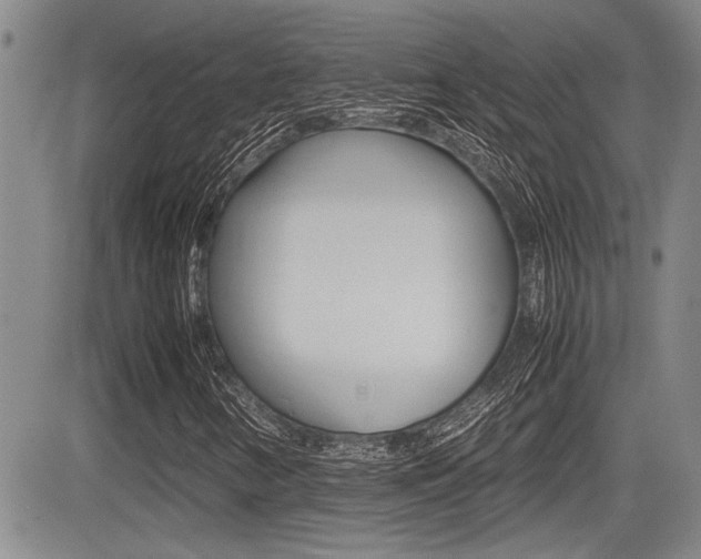 X0000085831346200703161019