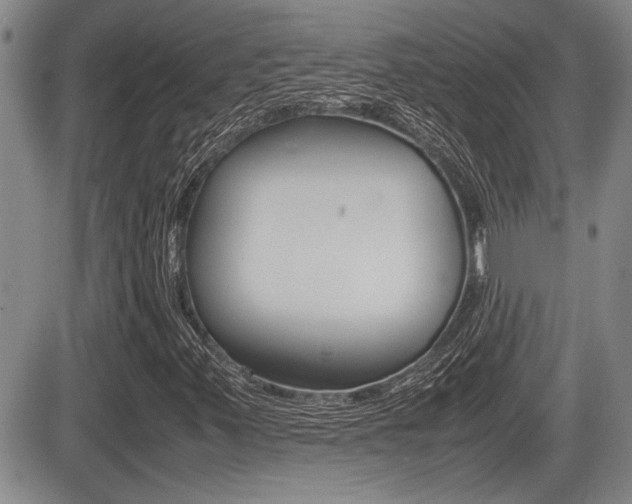 X0000085831347200703161019