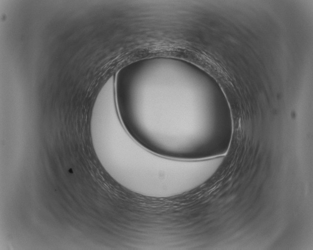 X0000085831348200703161019