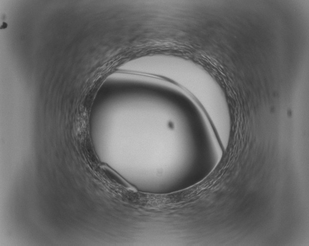 X0000085831349200703161019