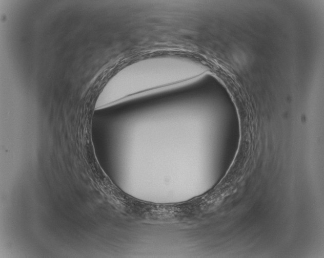 X0000085831351200703161019