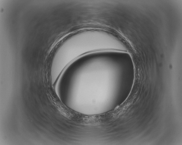 X0000085831352200703161019