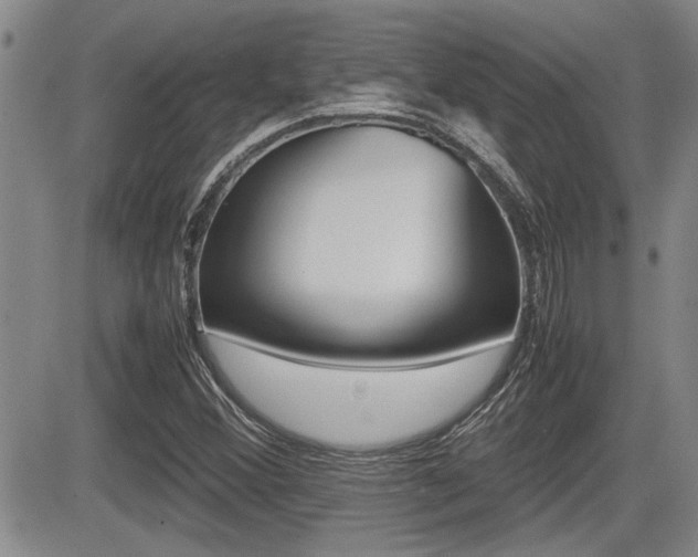 X0000085831356200703161019