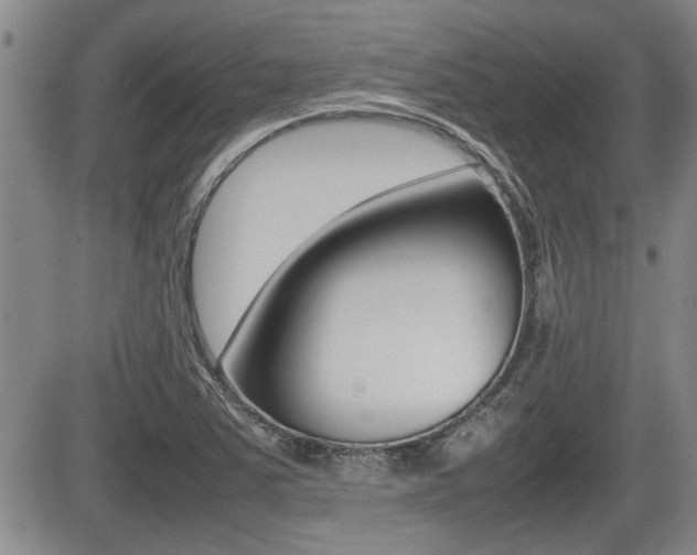 X0000085831363200703161019