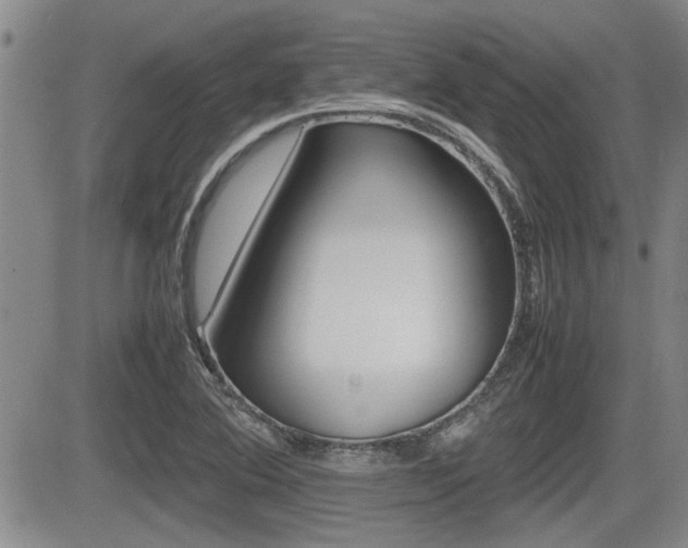 X0000085831364200703161019