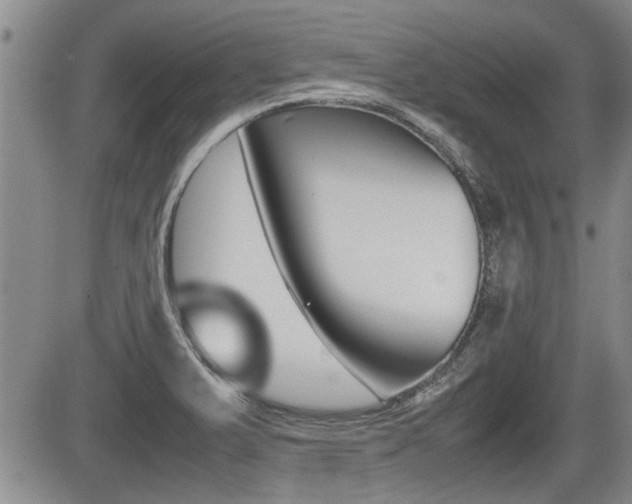 X0000085831375200703161018