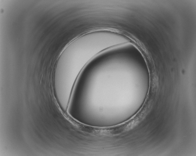 X0000085831377200703161018