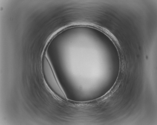 X0000085831380200703161018