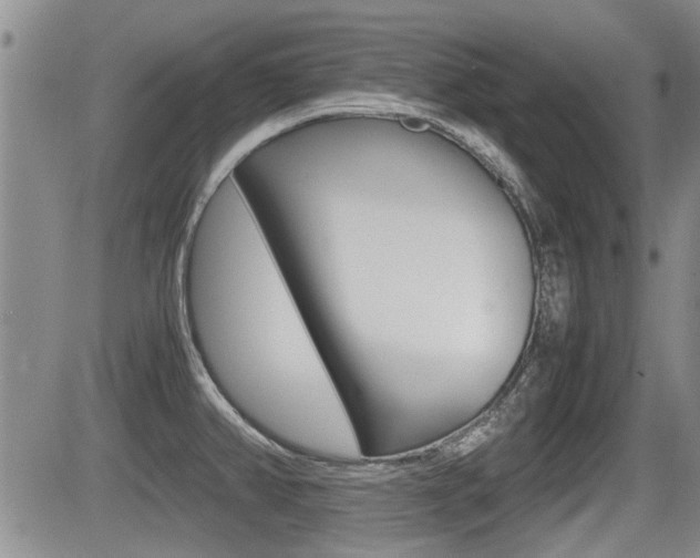 X0000085831382200703161018