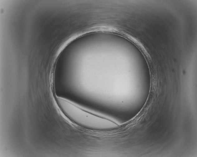 X0000085831383200703161018