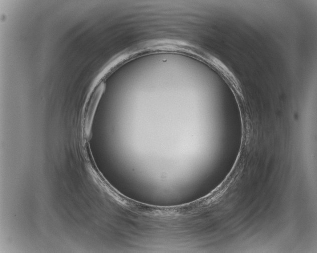 X0000085831384200703161018