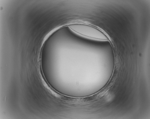 X0000085831387200703161018