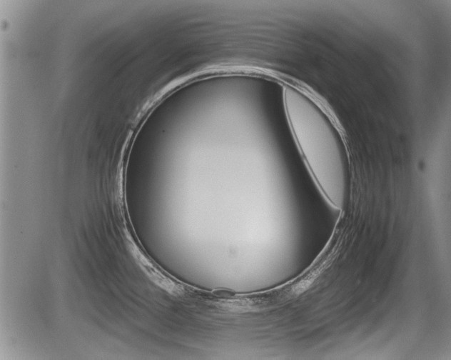 X0000085831388200703161018