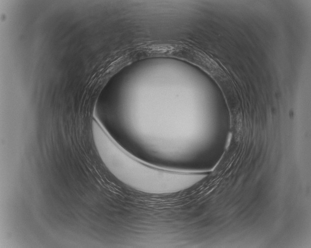 X0000085831394200703161017